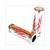 GRIPS TRIBE CHROME RED