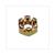 REARWHEEL AXLE NUT 10x1.25 SLOTTED NUT S-T